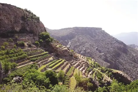 Jebel Akhdar Oman